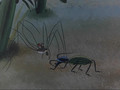 мультфильм Путешествие муравья скачать